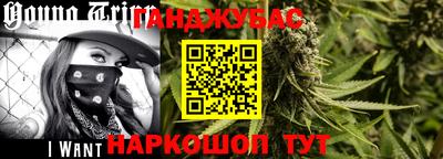 индика Будённовск