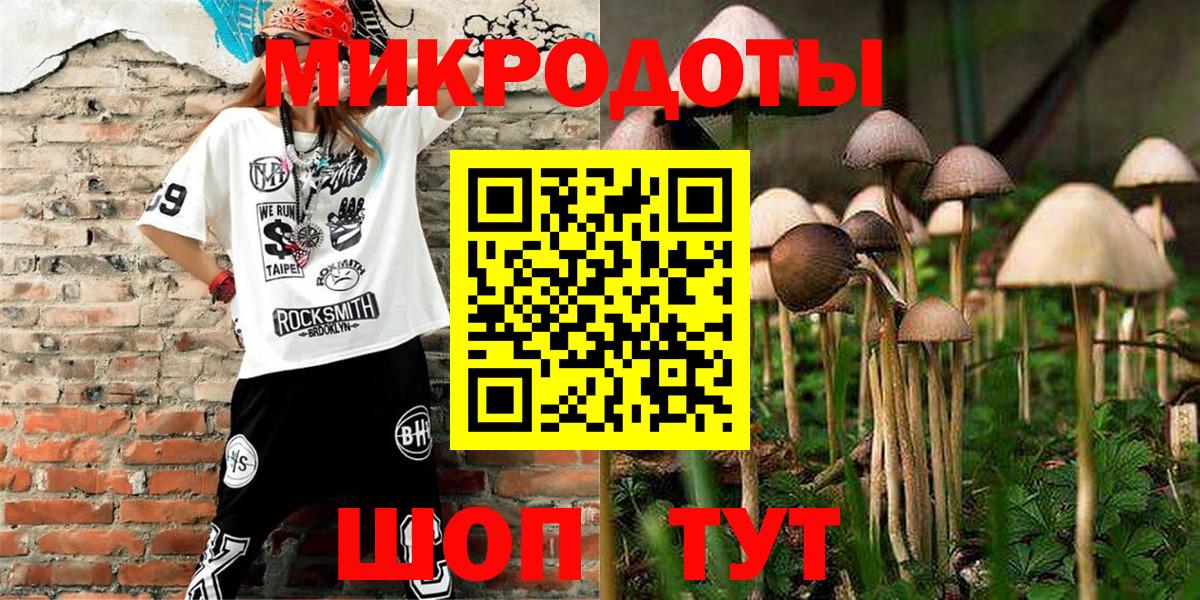Псилоцибиновые грибы MAGIC MUSHROOMS Рузаевка