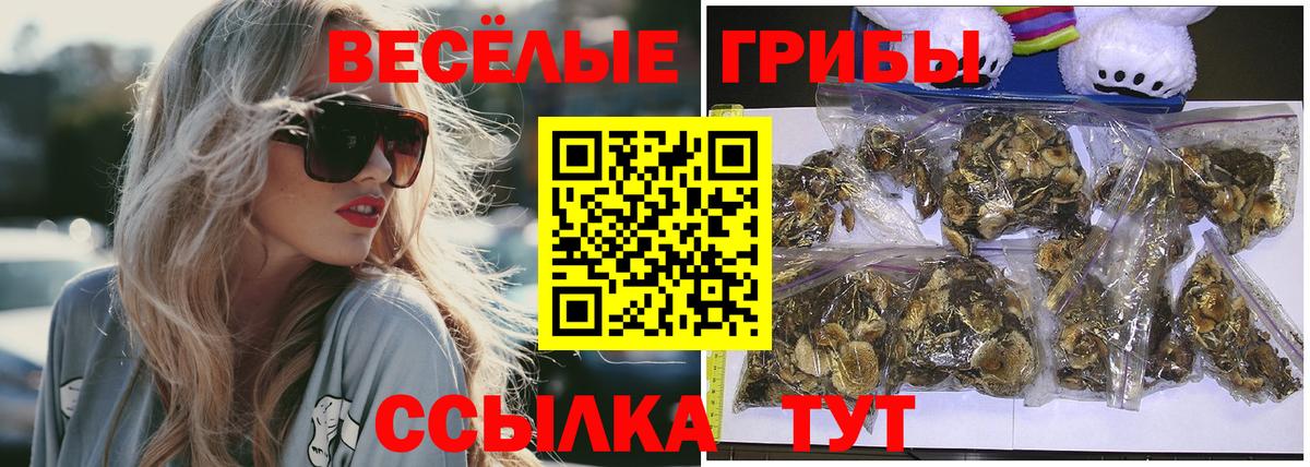 Псилоцибиновые грибы Psilocybe  Вход с VPN  купить наркоту  Рузаевка 